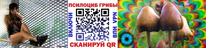 darknet как зайти Урень Псилоцибиновые грибы мухоморы